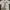 Evisu Luxury Boots Pria White