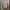 See Through Pink Sheer Top Turtleneck  photo 1