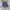 Jorts pants balon cargo grey photo 1