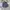 Jorts Pants Balon Cargo Grey