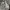 Satu Set Nike TECH FLEECE photo 1