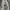 Satu Set Nike TECH FLEECE photo 7
