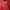 jacket Zipper  photo 4