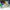 Nike Streetwear Luxury Sneakers Pria multicolor white photo 8