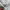Carhartt State Flag Sweat photo 4