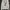 Acme De La Vie  Streetwear Hoody Pria Cream