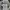 Acme De La Vie  Streetwear Hoody Pria cream photo 4