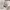 Acme De La Vie  Streetwear Hoody Pria cream photo 5