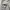 Carhartt State Flag Sweat photo 6