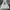 Hoodie Adidas Trefoil  photo 1