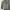 Jaket M65 Jungle jacket photo 6
