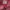 Hoodie ADLV acme de la vie photo 5