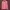 Hoodie ADLV acme de la vie photo 1