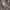 Hoodie b one soul camouflage photo 4