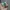 jam tangan casio vintage custom green dial photo 1