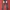 Morgan Homme adjustable zip leg photo 8