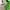 Futurist Bomber jacket Pria white green photo 3