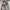 Carhartt Avant Garde Vintage Jeans Pria Multicolor