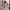 Futurist Bomber Jacket Pria White Pink