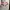 Futurist Bomber jacket Pria white pink photo 4