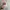 Vintage hat Lucas Flamingo putih tulang, Classic hat photo 1