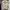 Cristina Gavolli Silk Striped Japanese Kmrii goa fuga  photo 1