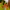 Futurist Bomber jacket Pria multicolor green photo 4