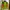 Futurist Bomber Jacket Pria Multicolor Green