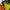 Futurist Bomber jacket Pria multicolor green photo 3