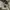 Kansai Bis Casual Casual trouser Wanita white photo 6