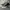 Vans California Mid Skool 77 “Pebble Leather” Pack photo 2