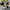 Vans California Mid Skool 77 “Pebble Leather” Pack photo 1
