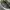 Vans California Mid Skool 77 “Pebble Leather” Pack photo 4
