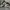 Nike air jordan high retro travis scott dark mocha 'jack cac photo 1