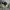 Nike air jordan high retro travis scott dark mocha 'jack cac photo 3
