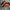 Nike Air Foamposite One Habanero Red original photo 3