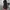 Nike Air Foamposite One Habanero Red original photo 2