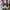 Nike Air Jordan Retro 6 olive x travis scott photo 5