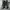 Adidas superstar jungle photo 3
