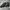 Adidas superstar jungle photo 4