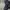 Adidas superstar jungle photo 7