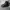 Adidas superstar jungle photo 2