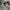 Nike air jordan high 1 black toe photo 1
