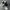 Nike air jordan 1 zoom CMFT 'gold laser' photo 7