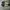 Nike air jordan 1 element goretex  photo 6
