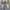 FASHION BLUEWASH JEANS PANTS [ BAGGY FIT ] photo 6