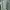 Vintage Casual Parka Wanita green photo 3