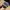 Nike 90's Snapback Embroidered Fading Green Under Visor photo 8