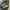 Vans Sk8-Hi Gore-Tex MTE-3 High Dark Forest photo 6
