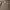 Loro Piana Casual Wanita brown photo 4